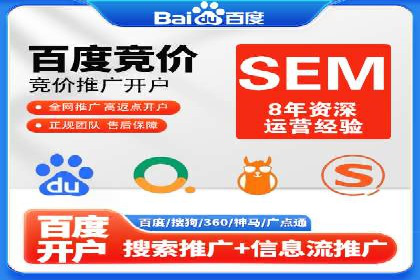某某企业SEM推广成功案例：打造品牌营销新模式